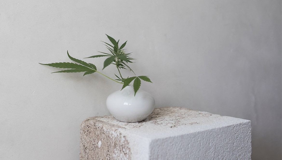 Le Chanvre : Nouvelle Révolution Industrielle